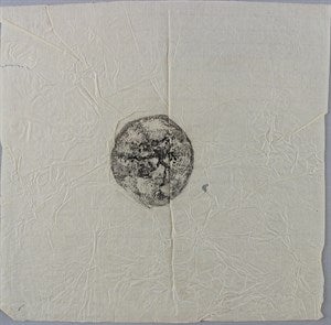 Image description is not available for DU1972.604